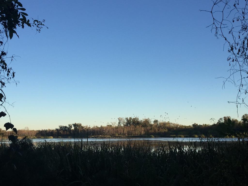 Orchard Lake Estates A Hidden Gem of Sugar Land TX