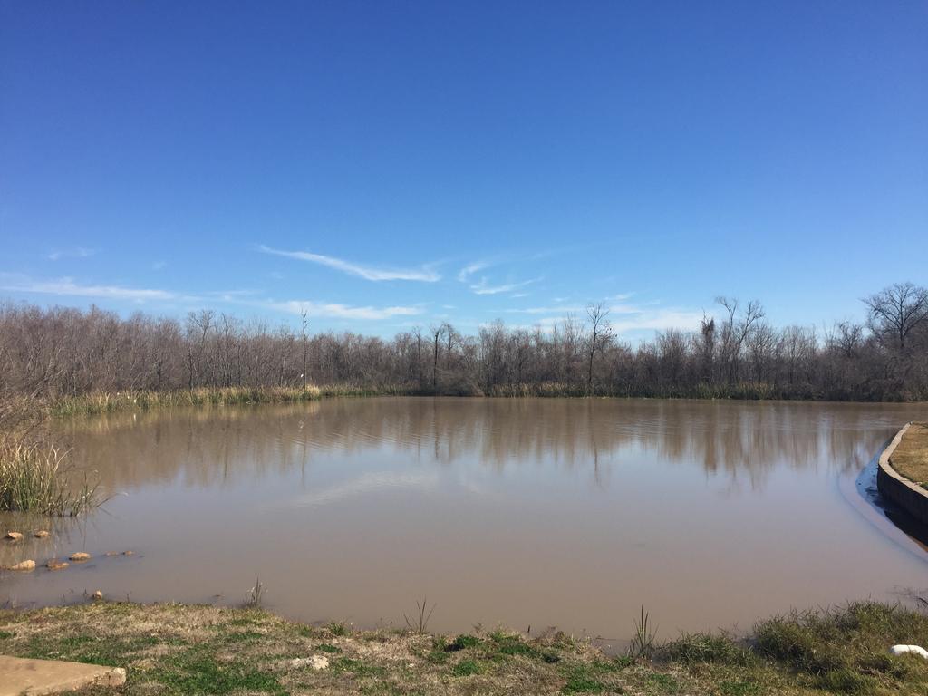 Orchard Lake Estates A Hidden Gem of Sugar Land TX